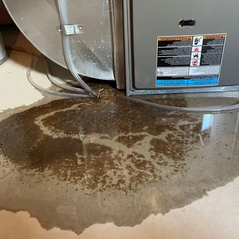 Pipe Burst and Leak Restoration in Keosauqua, IA